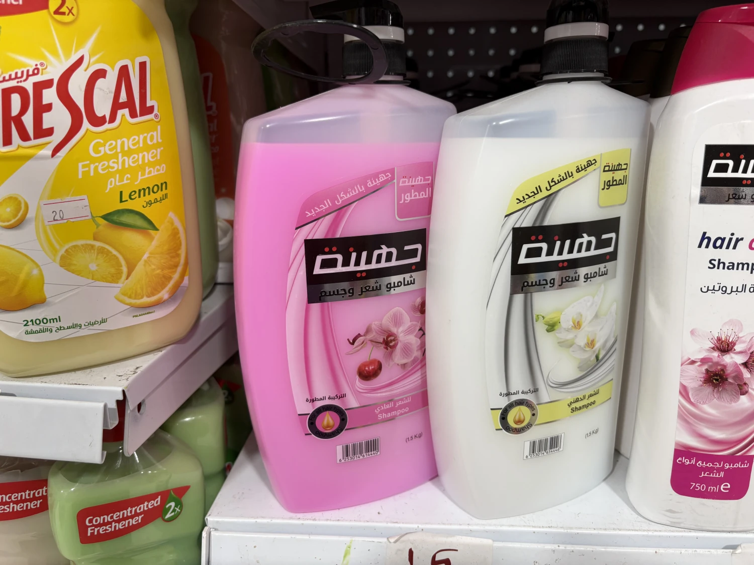شامبو شعر وجسم جهينة