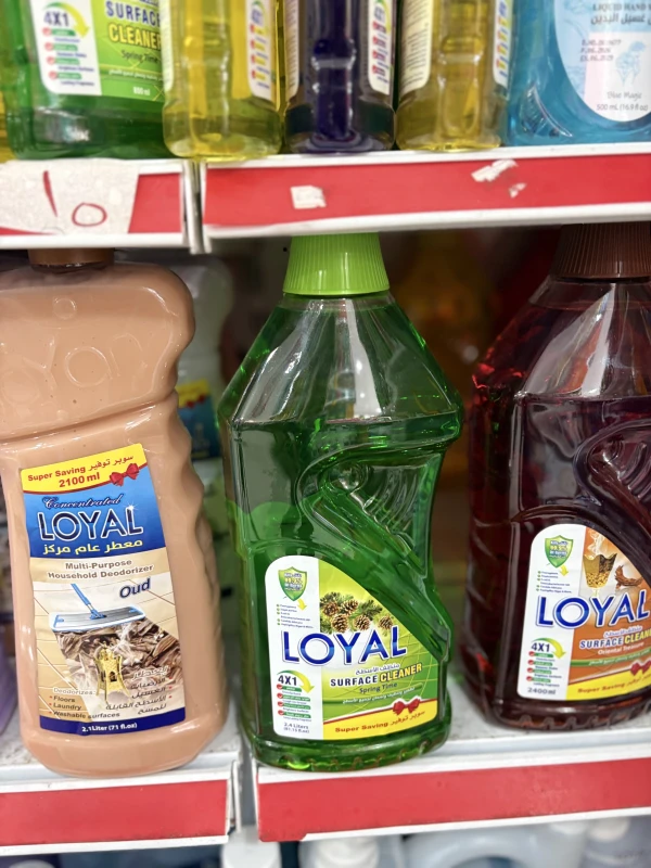 منظف اسطح Loyal كبير